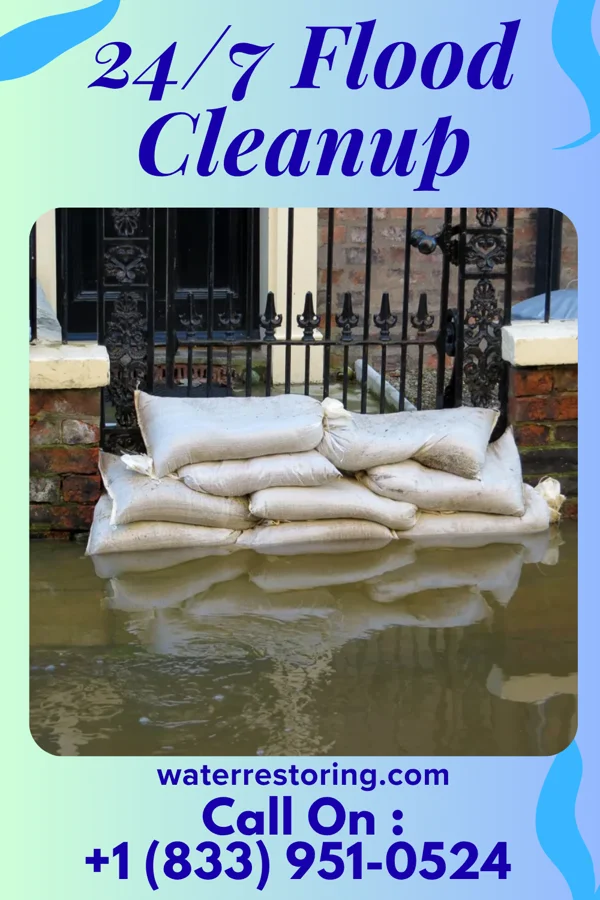 24/7 Flood Cleanup in Elmer, NJ