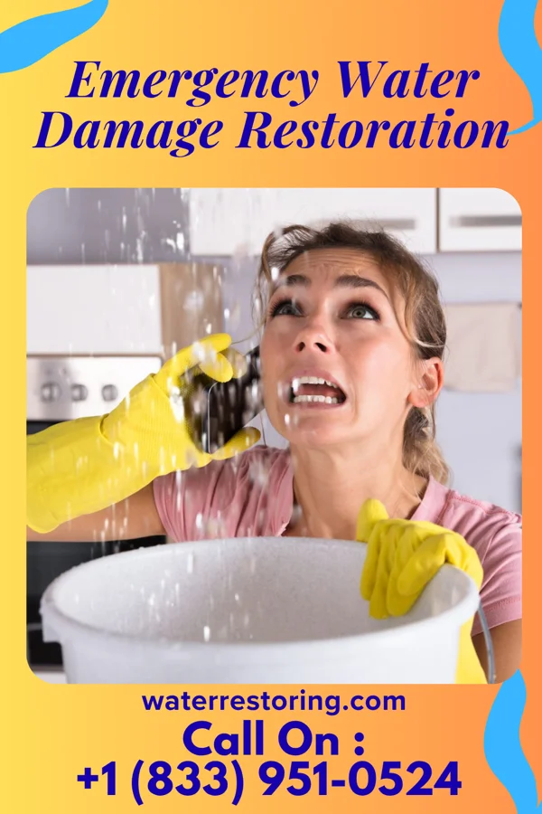 Emergency Water Damage Restoration in Elmer, NJ