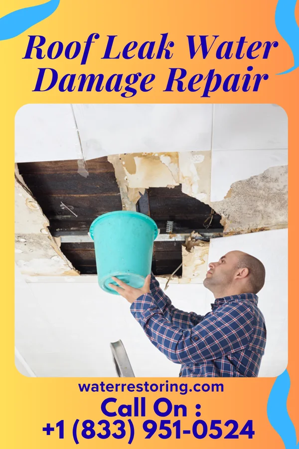 Roof Leak Water Damage Repair in Elmer, NJ