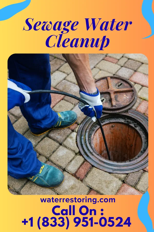 Sewage Water Cleanup in Elmer, NJ