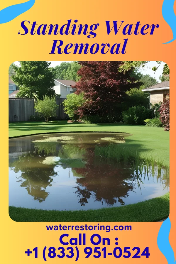 Standing Water Removal in Elmer, NJ